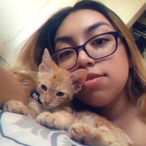 Meet your Posher, Jay